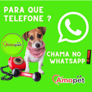 Agropet no gama, petshop no gama, pet no gama, veterinária no gama, veterinário no gama